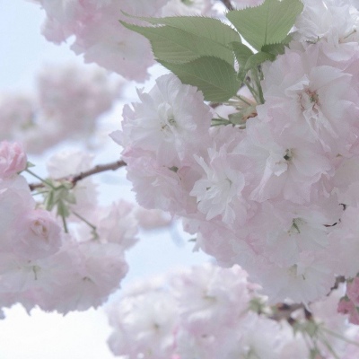 迎江福瑞交流群